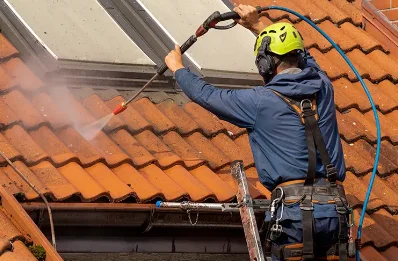 Démoussage et hydrofuge de toiture à Pino